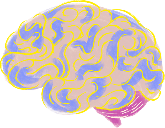Human Brain Painterly Sketch